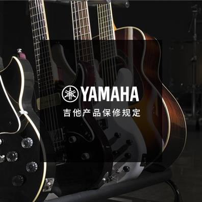 吉他、贝斯和音箱